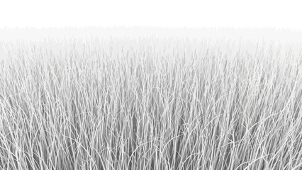 Monochrome Field Serene Grayscale Tall Grass Texture