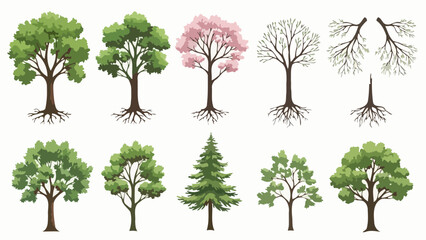 Collection of diverse trees in various stages of growth and seasons, showcasing roots and branches