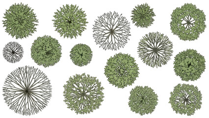 A versatile set of top view illustrated trees, showcasing diverse foliage and branch patterns, ideal for architectural renderings, landscape planning, and urban design layouts