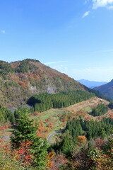 稲村ダムの石切り場　彩る秋　（高知県　土佐町）