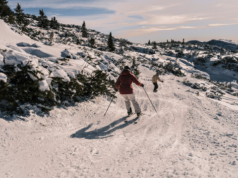 Two skiers descend a snowy slope dotted with snow-covered trees under a partly cloudy sky. Paganella, Roda refuge, Trentino, Italy
