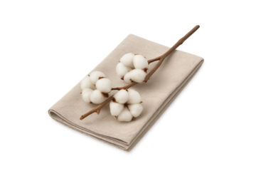 Soft cotton bolls on brown stem resting on cream napkin
