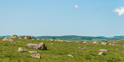 P&acirc;turages du le plateau d'Aubrac &agrave; Mabouzon, Loz&egrave;re, France