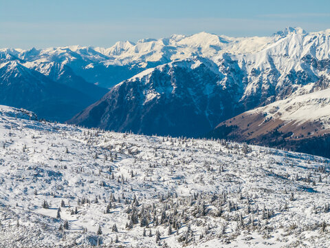 Snowy mountain landscape with snow-covered trees in the foreground and a range of mountains in the background under a clear blue sky. Paganella, Roda refuge,Trentino, Italy