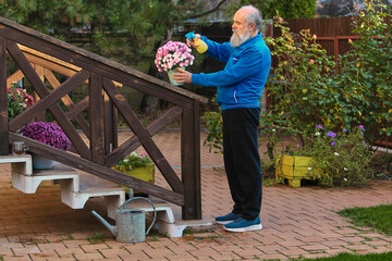 Senior man spraying pink potted flowers on garden stairs. Concept of plant hydration, gentle care habits, peaceful outdoor routine, and relaxing gardening activity.