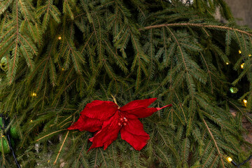 Christmas tree with many ornaments and pine cones. tree is decorated with gold and white ornaments.