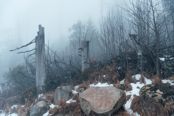 Mystische Atmosph&auml;re in den Nebelbergen des Harzes