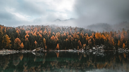 Aerial view of the forest in its autumn splendor, the trees reflecting in the lake under a sky heavy with clouds, Poschiavo, Grisons, Switzerland.