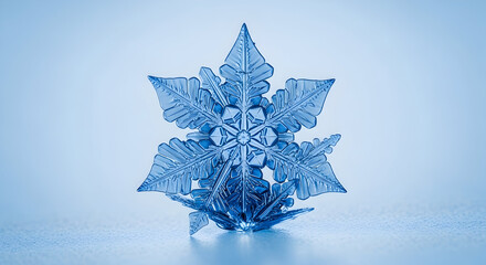 Intricate blue snowflake isolated macro shot showing detailed ice crystal structure