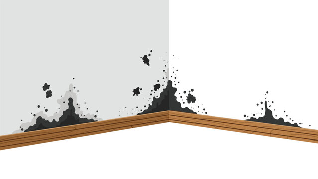 Homeowners tackling dangerous mold growth around baseboards and corners for clean fresh living and healthy indoor air quality