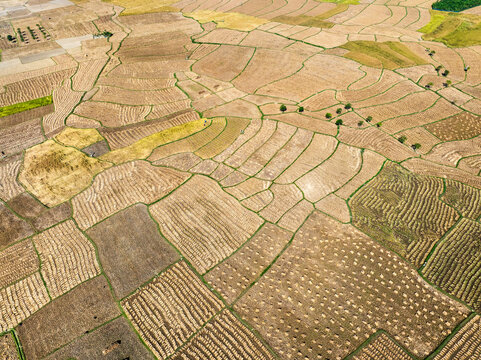 Aerial view of vast, patchwork fields creating a geometric tapestry of earthy browns and greens, divided by thin lines of vegetation, Naogaon, Rajshahi Division, Bangladesh.