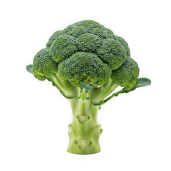 Fresh broccoli isolated on transparent background