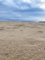 Macro Shot of Beach Sand Grains Meeting Sea Waves Close-Up