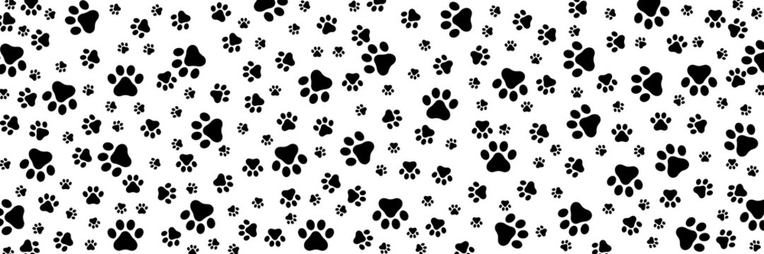 Many black cat paw prints of various sizes on transparent background, wide background