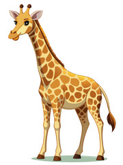 Obraz premium Giraffa real, full body , white background