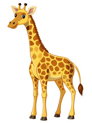 Fototapeta premium Giraffa real, full body , white background