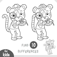 Cute tiger character with magnifier looks at flower. Spot the differences game for kindergarten and preschool children. Black and white coloring page for kids