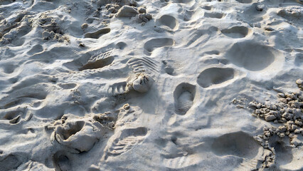 Sun kissed sand texture with footprints and shadows for a carefree summer vacation vibe