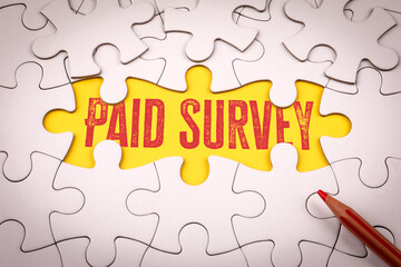 Paid Survey Text Revealed Through Puzzle Pieces In Creative Marketing Concept
