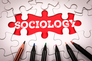 Sociology Text Revealed Through Puzzle Pieces In Creative Educational Concept