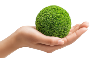 Hand Holding Sphere of Green Moss - Environmental Concept