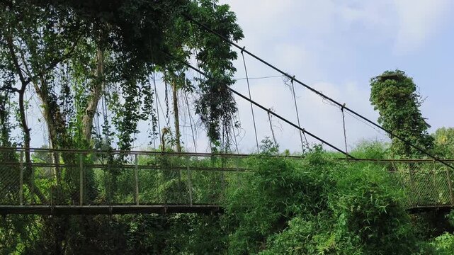Old abandoned suspension bridge concrete pillar structure overgrown or covered by green wild creepers and vine plant leaves. Rural public property near forest walkway takeover or reclaiming by nature.