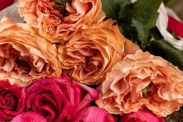 beautiful red orange roses in a large bouquet on top of each other, several red and orange fresh roses for arranging bouquets