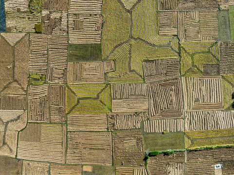 Aerial view of golden and brown patchwork fields create an intricate tapestry of rural agriculture, Panchagarh, Rangpur Division, Bangladesh.