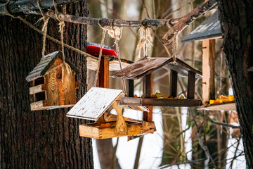 Colorful birdhouses hang from tree branches in a serene winter scene, highlighting creativity