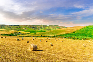 beautiful agricultural landscape of a golden shiny fielf of summer farmland with amazing hay stacks and scenic green hills and mountains on background