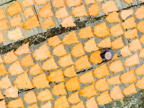 Aerial view of a person amidst rows of vibrant orange food drying under the sun, creating a textured mosaic of color, Dhaka, Dhaka Division, Bangladesh.