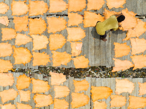 Aerial view of a man amidst a sea of vibrant orange hides drying under the sun, creating a textured tapestry of labor and tradition, Dhaka, Dhaka Division, Bangladesh.