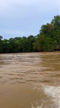 MALAYSIA - June 10, 2025: Tourists enjoy a riverboat ride on the Kinabalu River in Borneo. Riverboat ride through the tropical forests. Cruise on the Kinabalu River. 4K