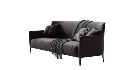 Black leather couch with pillows on an isolated background. Furniture for the modern interior, web design, and presentation.
