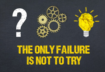 Obraz premium the only failure is not to try 