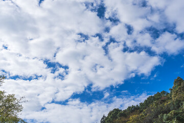 秋の終わりの空と雲を山から見上げる06