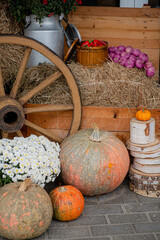 Colorful pumpkins and flowers are arranged beside hay bales at a charming farm stand in autumn