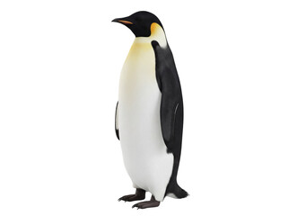Emperor penguin standing isolated PNG on transparent background, large flightless bird native to Antarctica for wildlife and nature projects