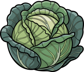 A vibrant, cartoonish cabbage with textured, layered leaves, set against a black backdrop.