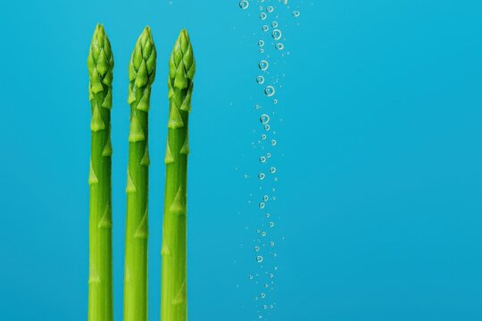Three fresh green asparagus spears stand in water - Powered by Adobe