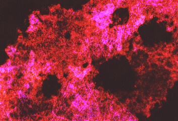 大胆な濃淡のグランジ模様 24-2