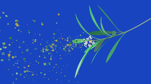 3D animation of an olive tree branch with blossoms, releasing pollen into the air that will trigger allergies. Flat color style on a blue background.