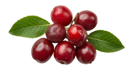 Sweet Marian Plum. Tropical fruit, Mayongchid, Maprang isolated on transparent background.top view image from camrea