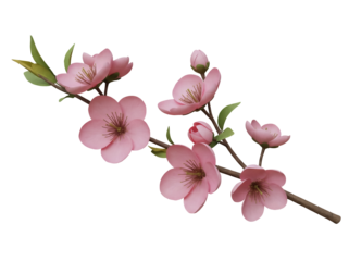 Pink cherry blossom branch isolated PNG, spring flowers on transparent background for design elements and decorative use