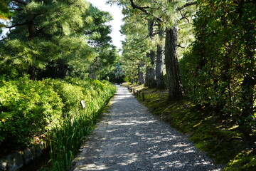 京都 秋の紅葉の季節の城南宮の風景