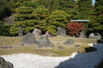 京都 秋の紅葉の季節の城南宮の風景