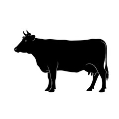 silhouette of a cow