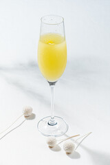A refreshing citrus beverage sparkles in a tall glass, set against a bright backdrop