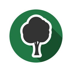 Tree icon isolated on transparent background