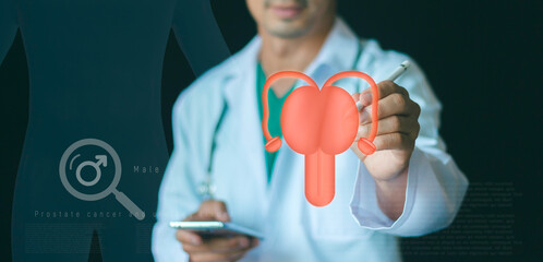 Prostate cancer and male health care concept. reproductive system  symbols of cystitis, urinary...